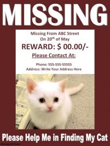Missing Cat Poster Template