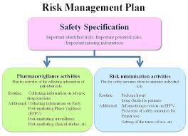 risk management plan template 5874