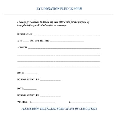 Pledge Sheet Template from www.docspile.com