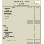 10 BEST Financial Report Templates [EXCEL, WORD, PDF]